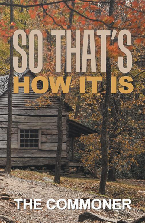 Cover image for book So That’S How It Is