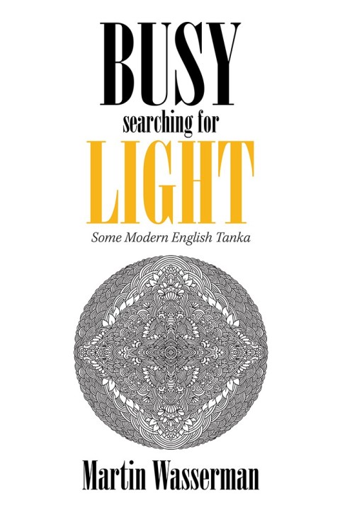 Cover image for book Busy Searching for Light