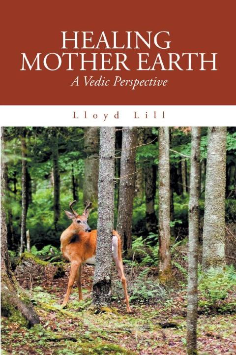 Cover image for book Healing Mother Earth