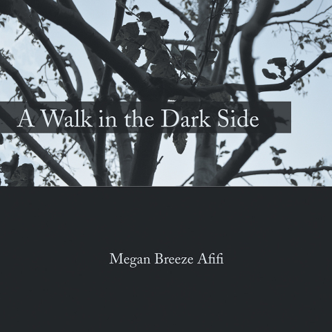 Cover image for book A Walk in the Dark Side