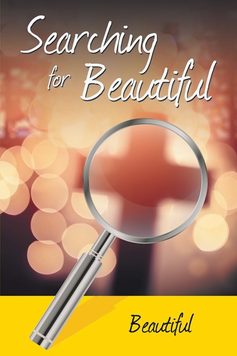 Cover image for book Searching for Beautiful