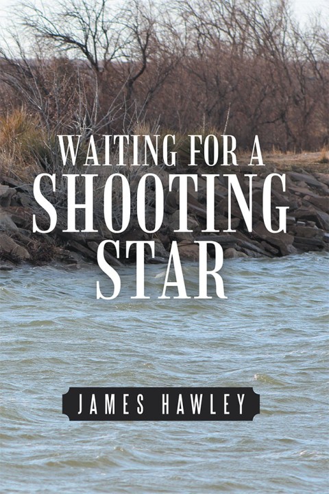 Cover image for book Waiting for a Shooting Star
