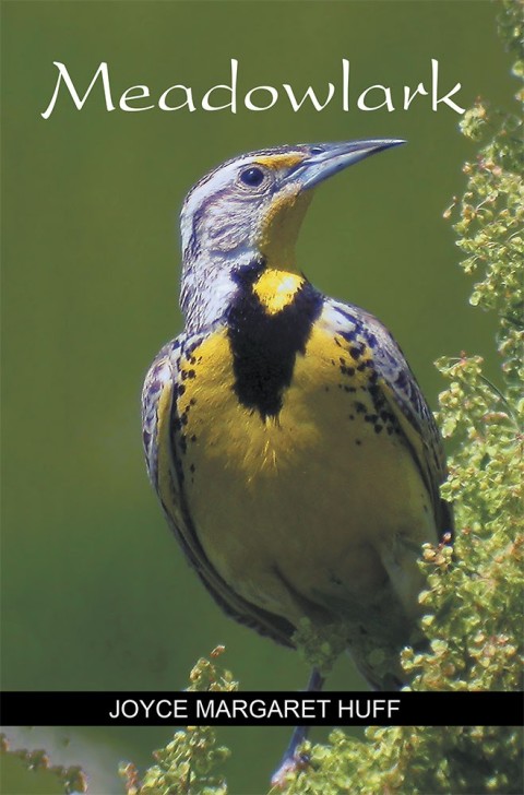 Cover image for book Meadowlark