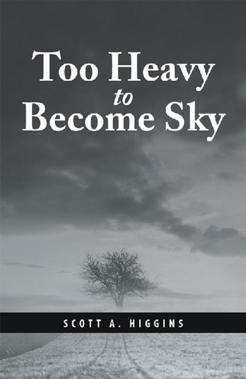 Cover image for book Too Heavy to Become Sky