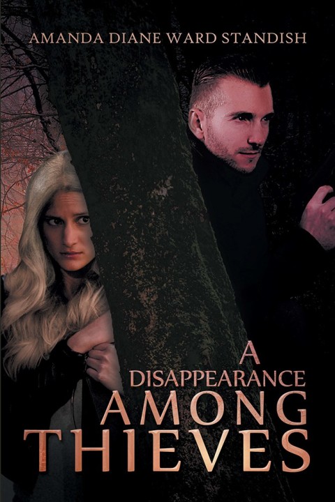 Cover image for book A Disappearance Among Thieves