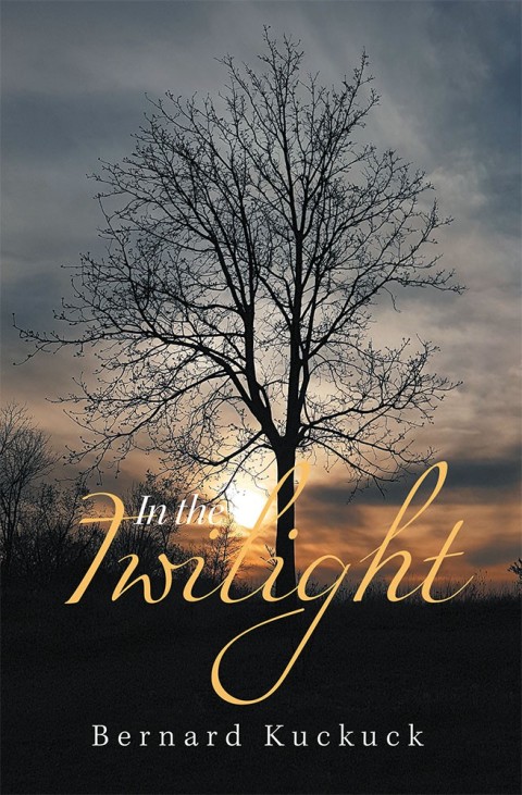 Cover image for book In the Twilight
