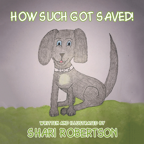 Cover image for book How Such Got Saved!