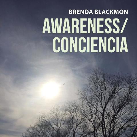 Cover image for book Awareness/Conciencia