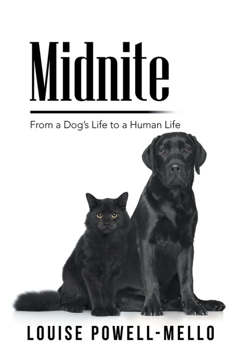 Cover image for book Midnite