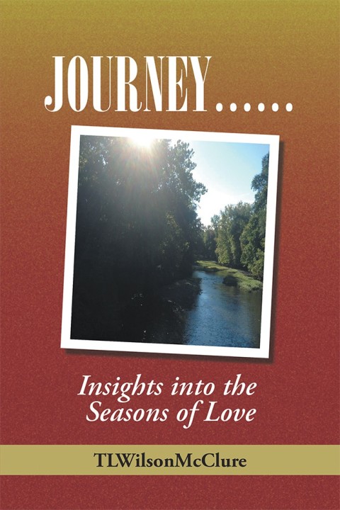 Cover image for book Journey ……