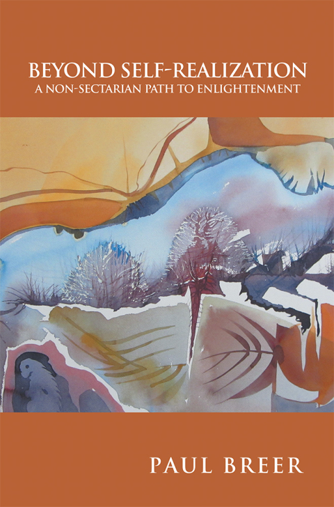 Cover image for book Beyond Self-Realization
