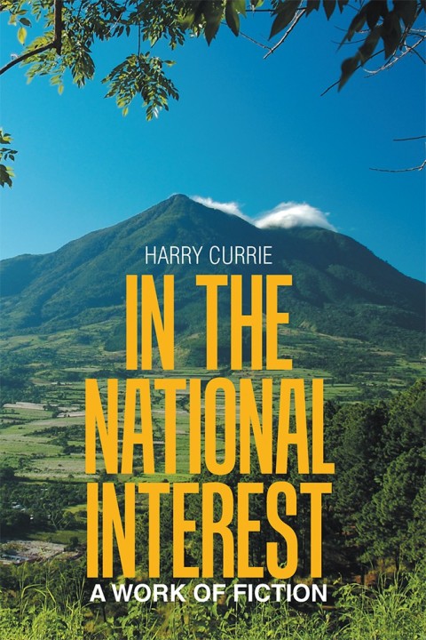 Cover image for book In the National Interest