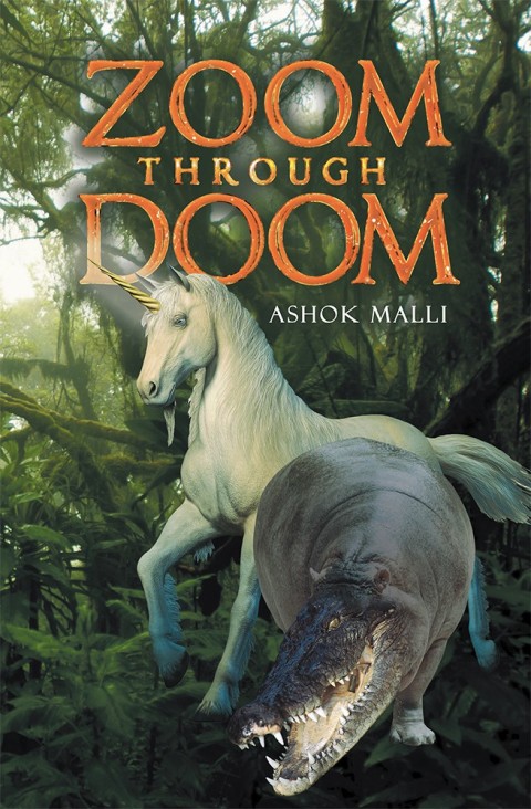 Cover image for book Zoom Through Doom