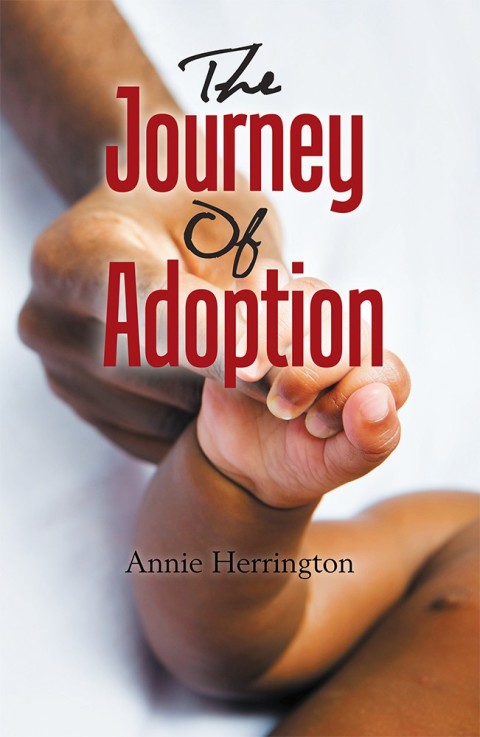 Cover image for book The Journey of Adoption