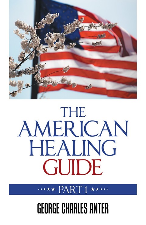 Cover image for book The American Healing Guide
