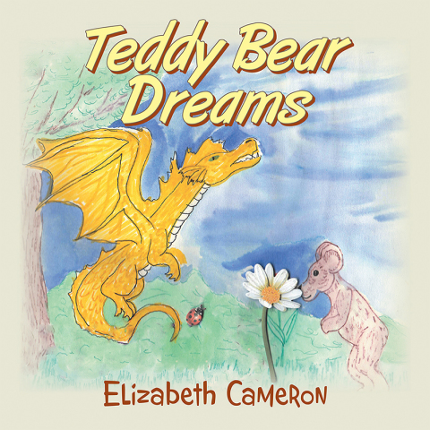 Cover image for book Teddy Bear Dreams