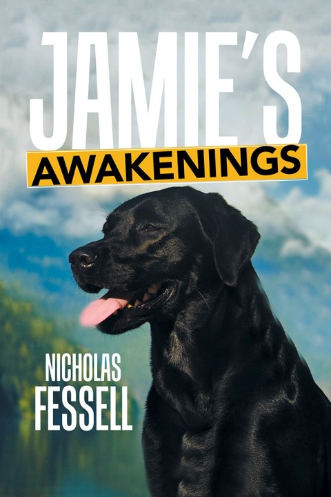 Cover image for book Jamie’S Awakenings