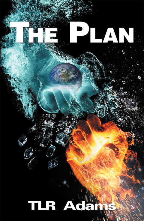Cover image for book The Plan
