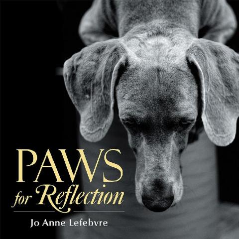 Cover image for book Paws for Reflection