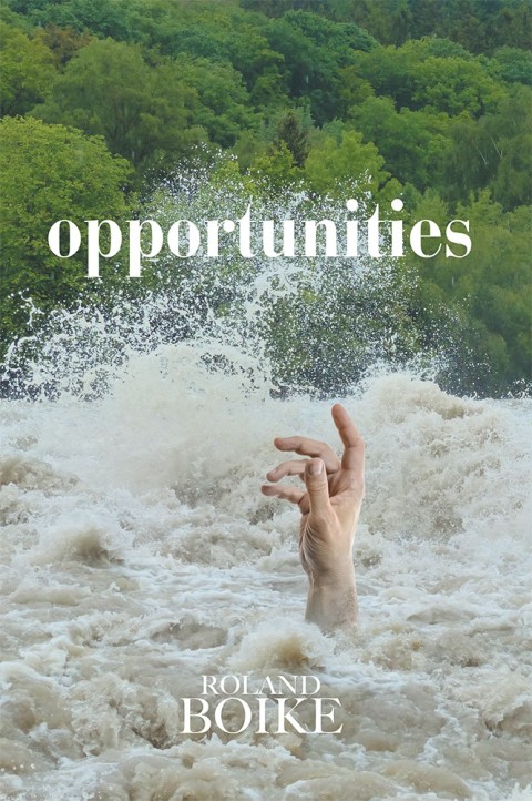 Cover image for book Opportunities