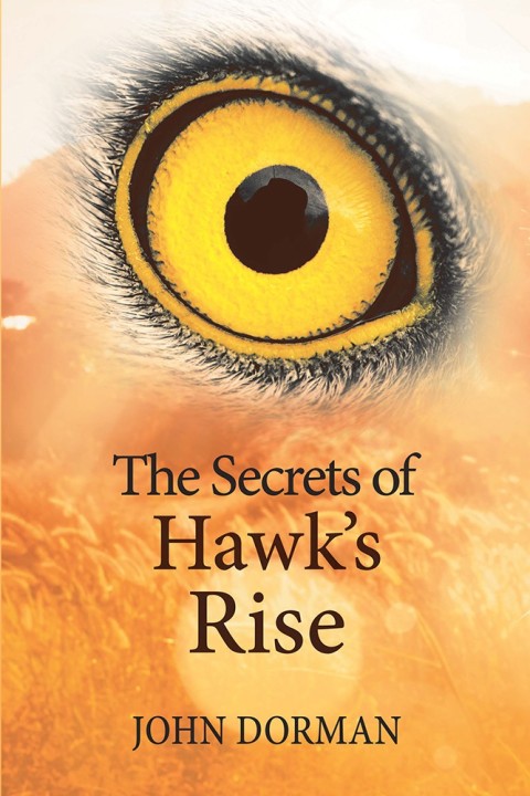 Cover image for book The Secrets of Hawk’S Rise
