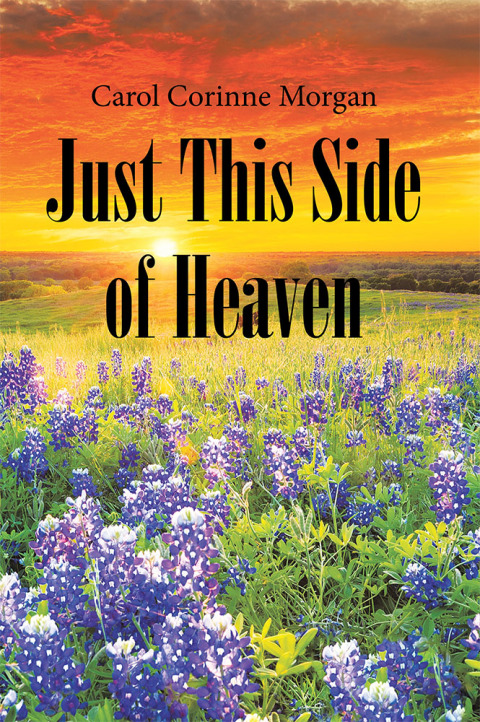Cover image for book Just This Side of Heaven