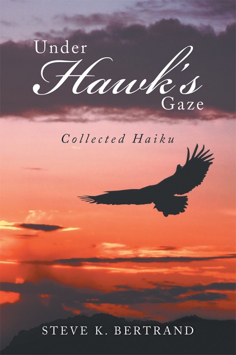 Cover image for book Under Hawk’S Gaze