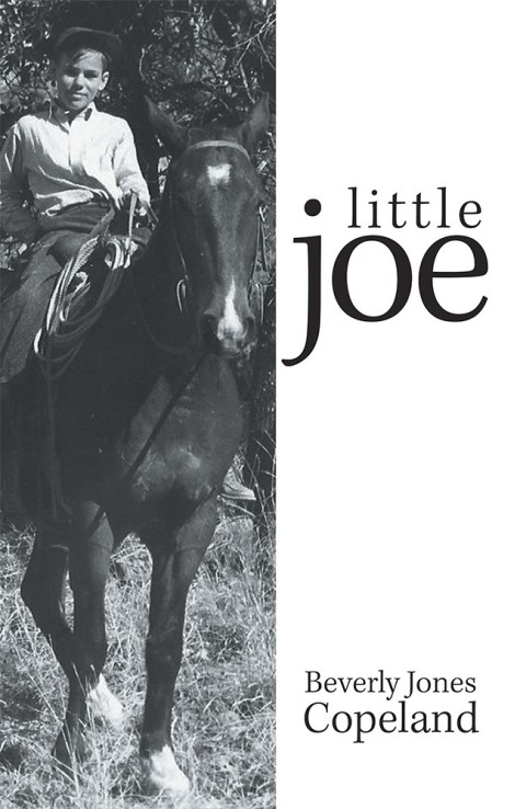 Cover image for book Little Joe