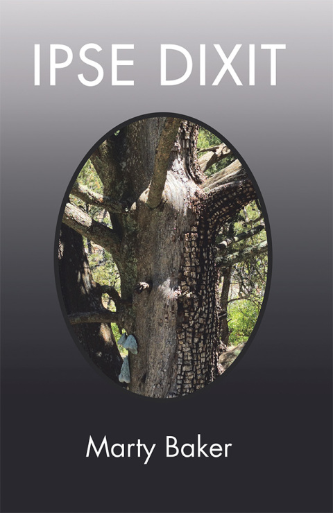 Cover image for book Ipse Dixit