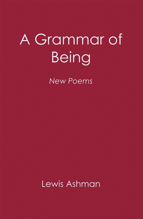 Cover image for book A Grammar of Being