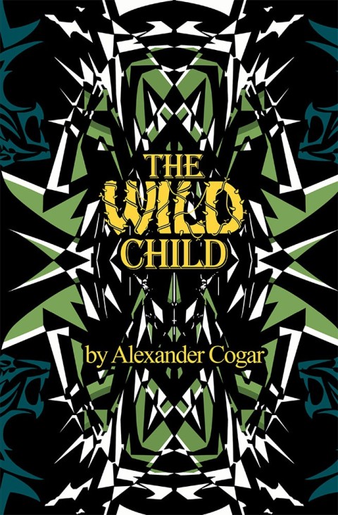 Cover image for book The Wild Child