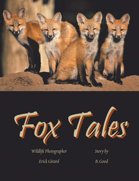 Cover image for book Fox Tales