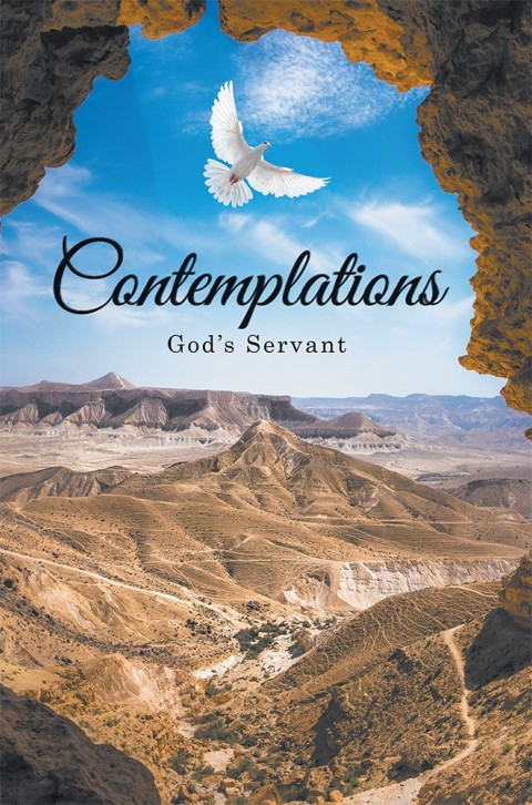 Cover image for book Contemplations
