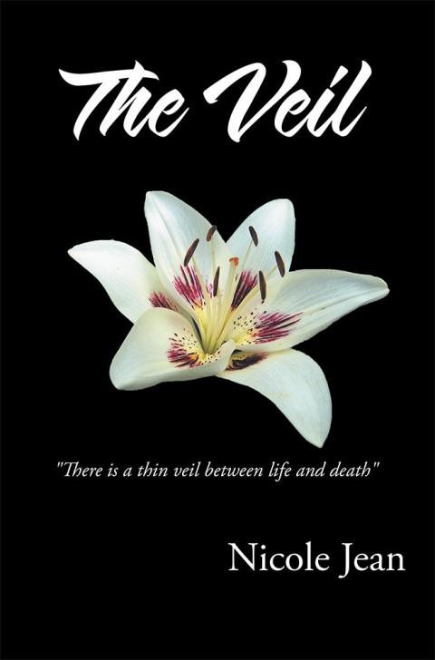 Cover image for book The Veil