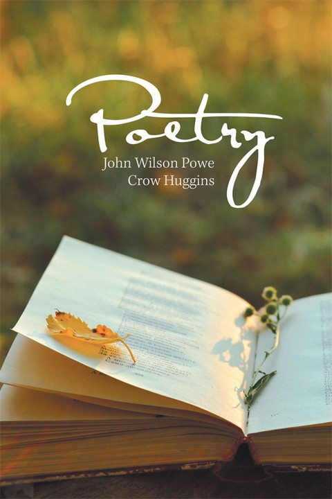 Cover image for book Poetry