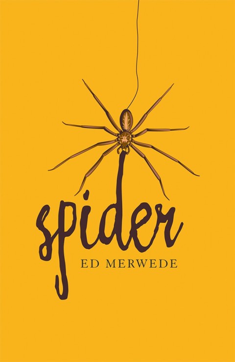 Cover image for book Spider