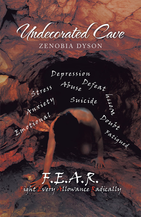 Cover image for book Undecorated Cave