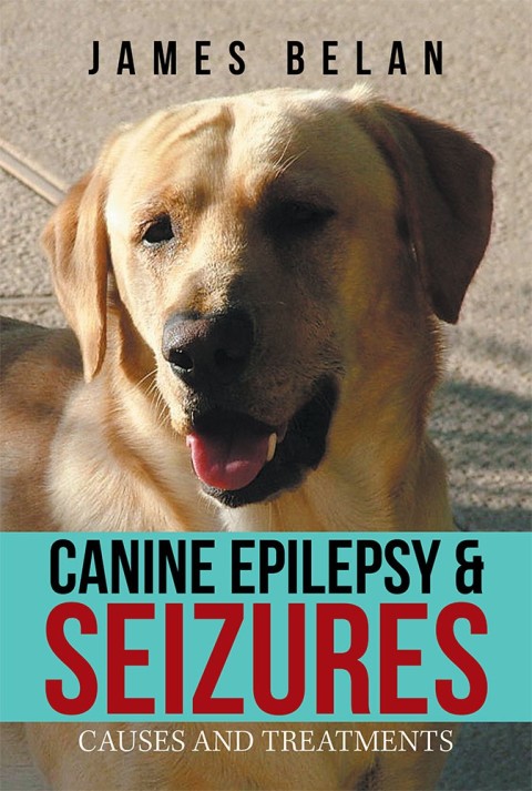 Cover image for book Canine Epilepsy & Seizures