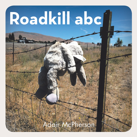 Cover image for book Roadkill Abc