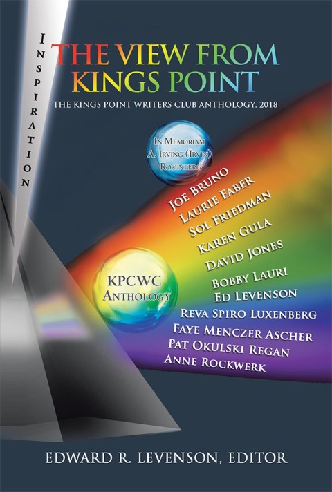 Cover image for book The View from Kings Point