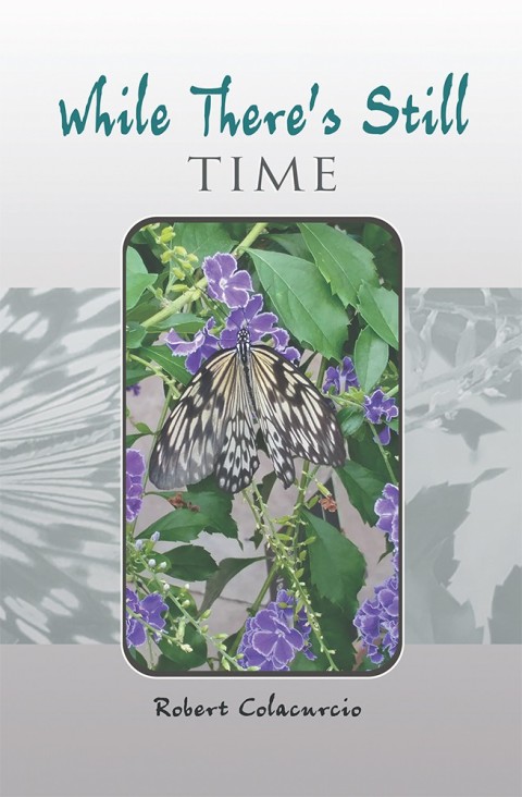 Cover image for book While There’S Still Time