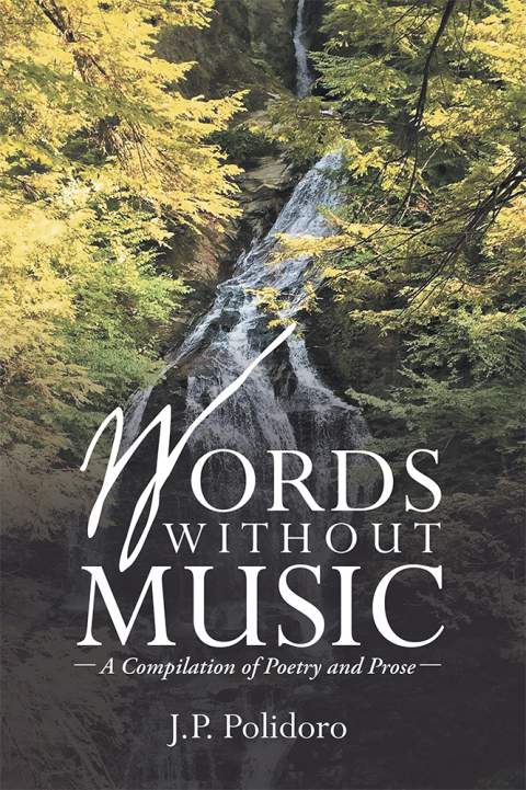 Cover image for book Words Without Music