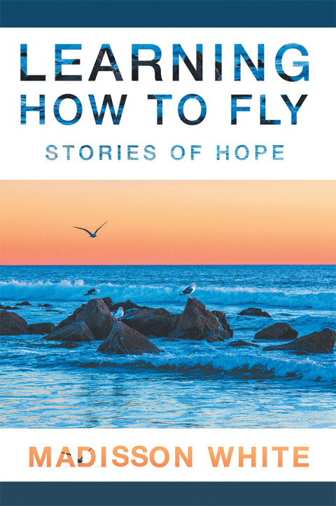Cover image for book Learning How to Fly