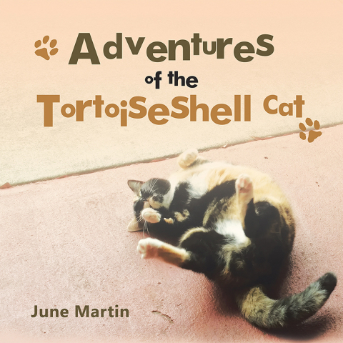 Cover image for book Adventures of the Tortoiseshell Cat