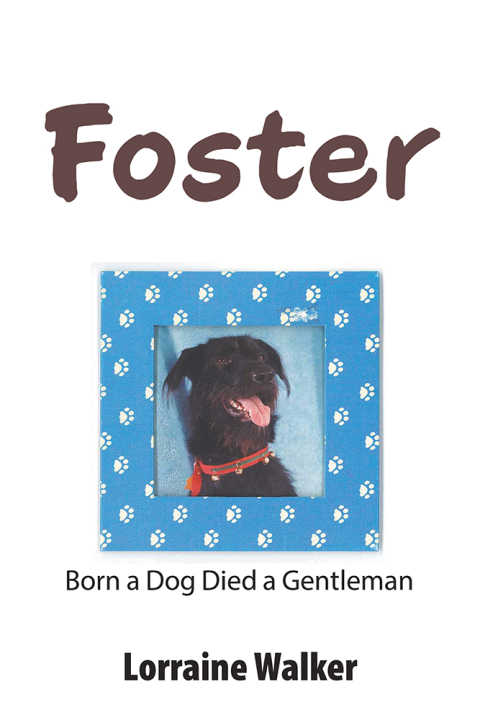 Cover image for book Foster