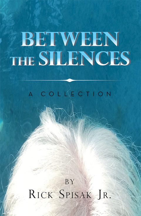 Cover image for book Between the Silences