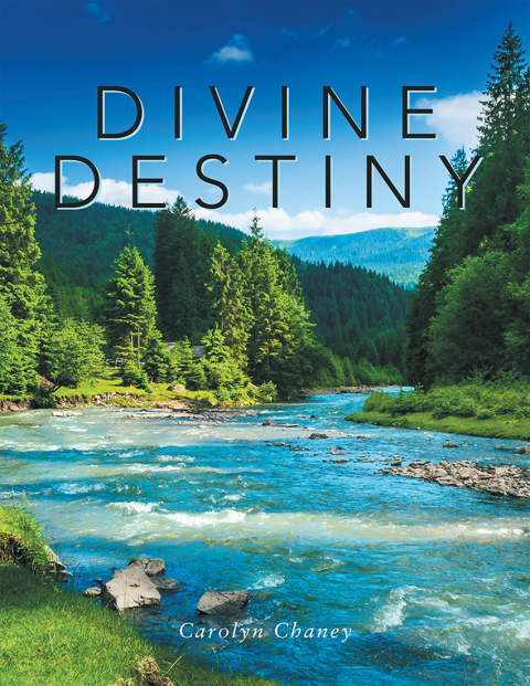 Cover image for book Divine Destiny