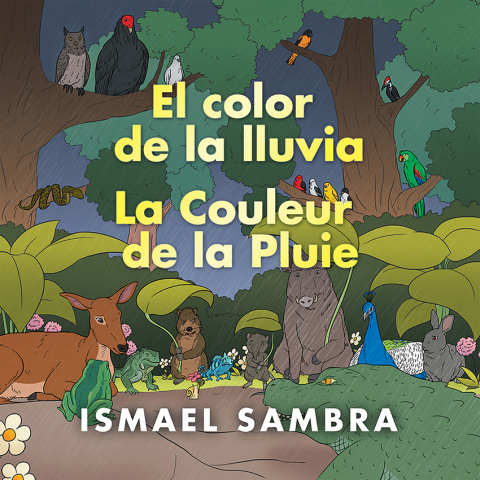 Cover image for book El Color De La Lluvia