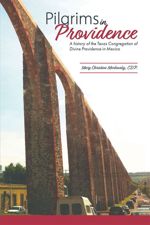 Cover image for book Pilgrims in Providence