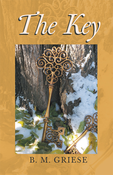 Cover image for book The Key